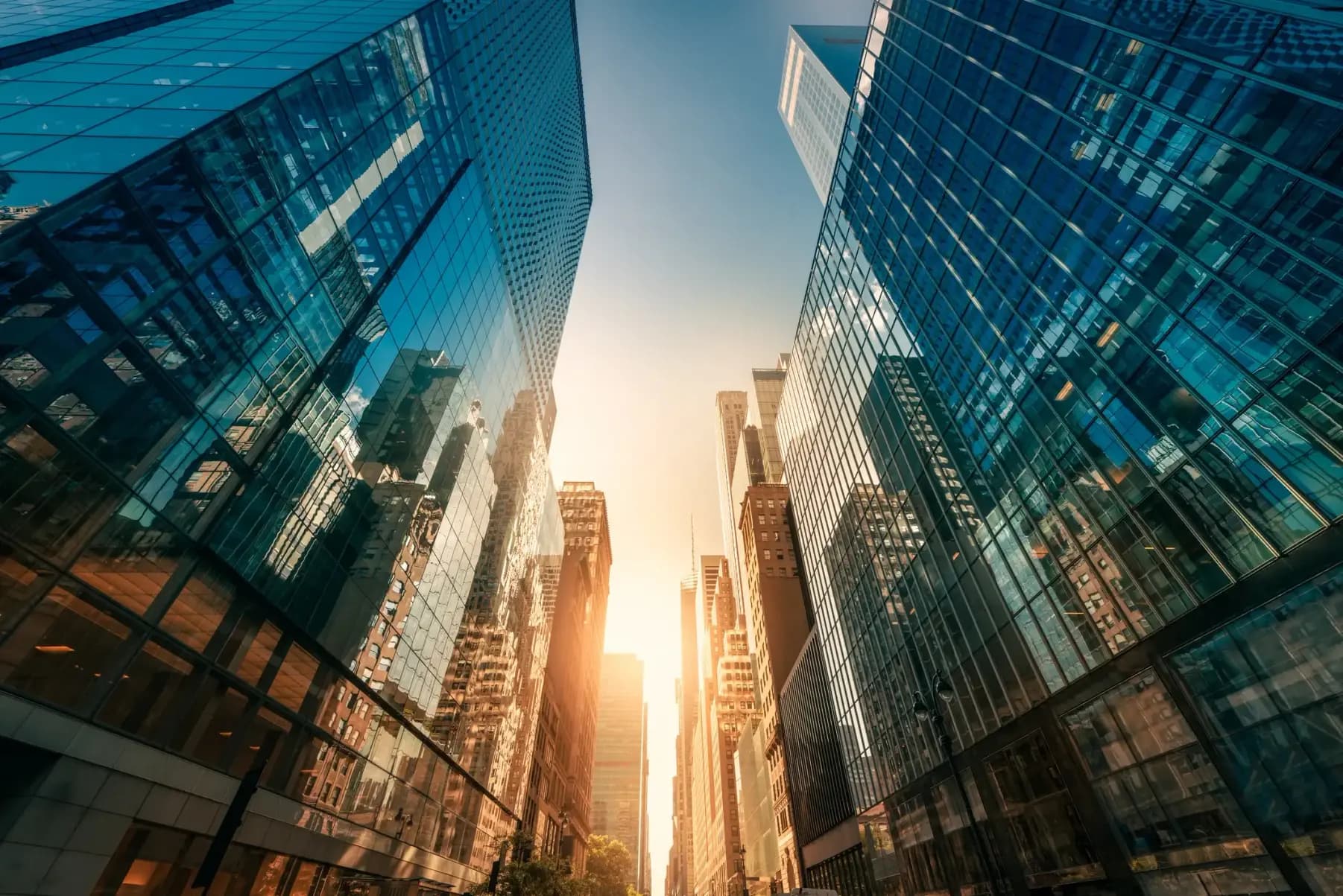 High Rise Buildings